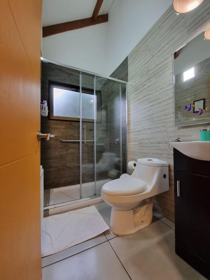 Hostel Torobayo Valdivia Kültér fotó